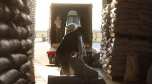 manzur-agro-1-300x166