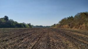 WhatsApp-Image-2020-09-04-at-09.17.51-300x166