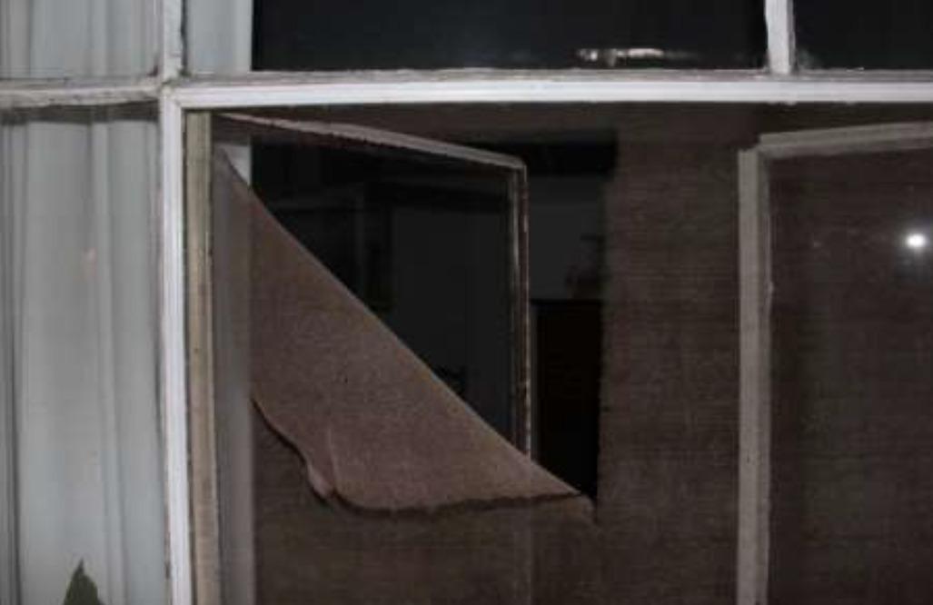 WhatsApp Image 2023-11-03 at 12.52.05