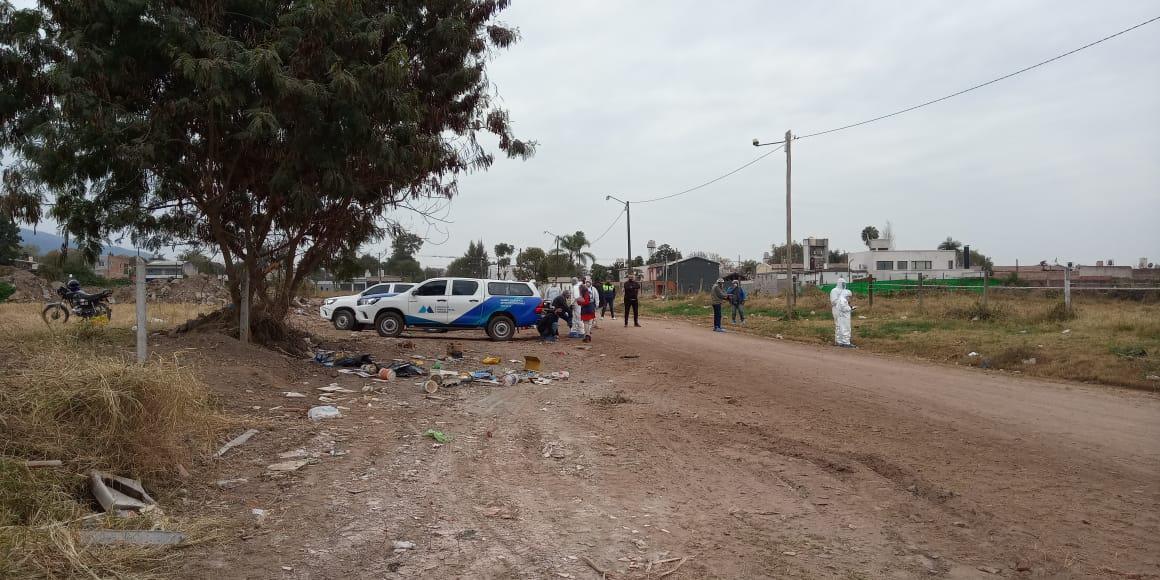 7d86e37c-b03d-4da2-be1e-e9ca5ac4ff1a