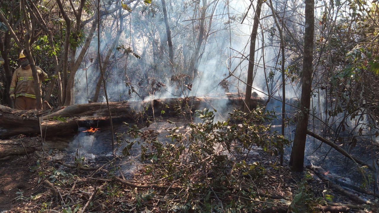 91263afc-e34b-4afd-a4a2-958edd119917