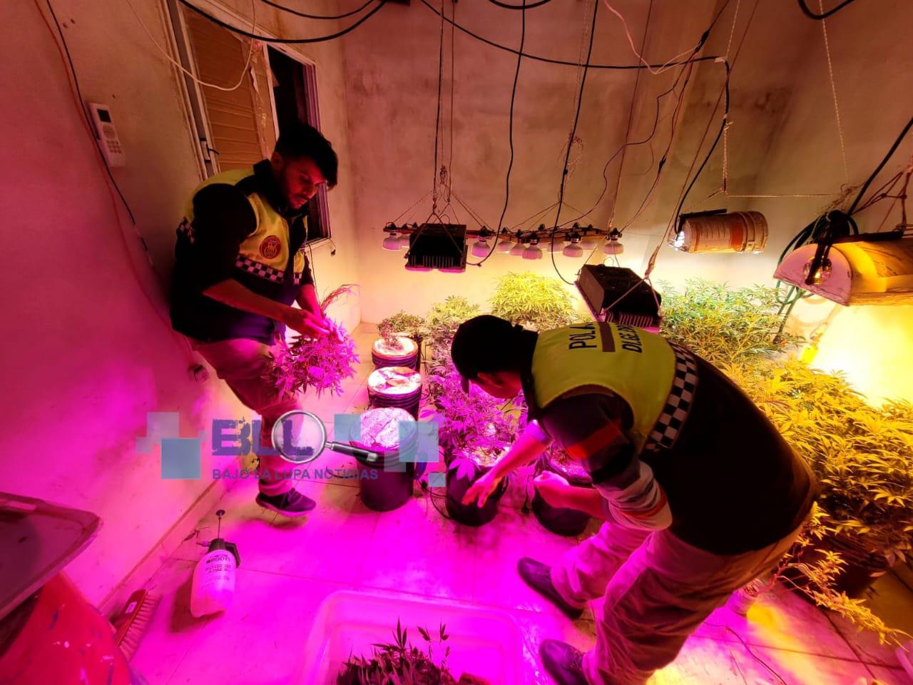 WhatsApp Image 2023-08-04 at 21.49.28