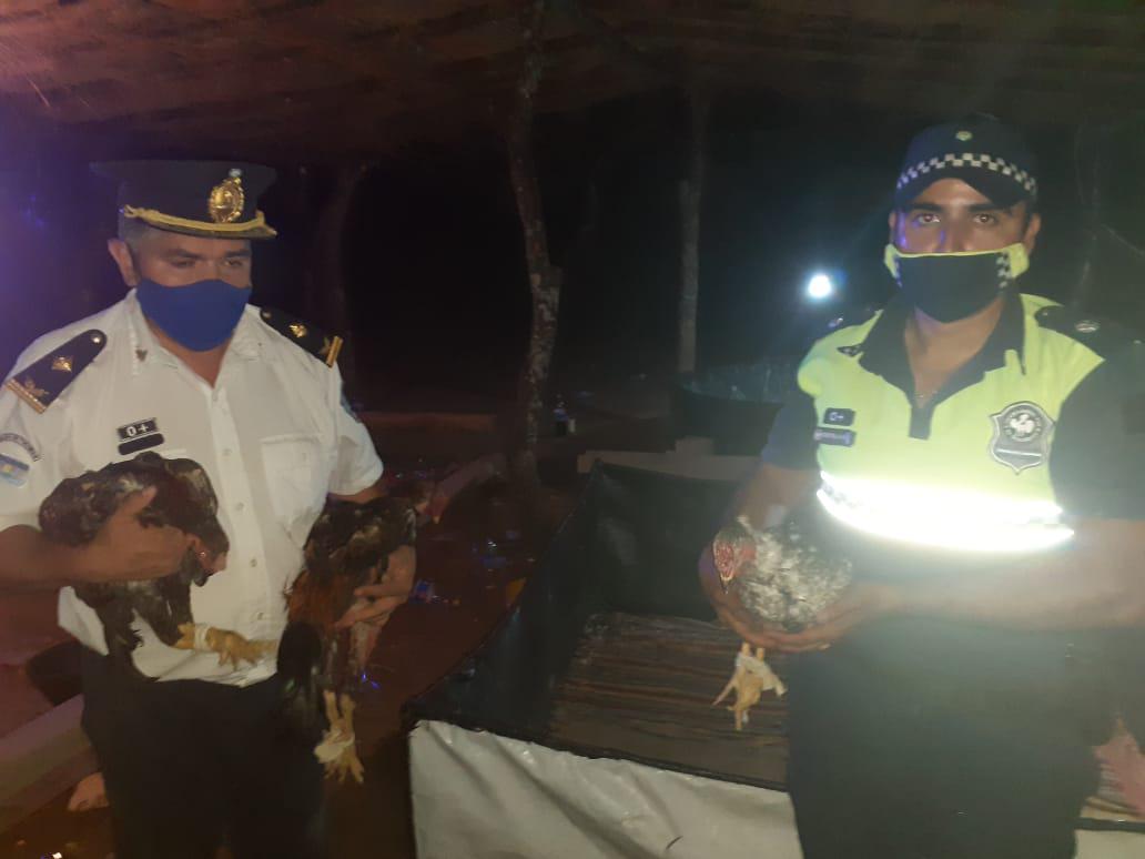 55dc02a2-d958-49fd-939e-69f38eb0fffa