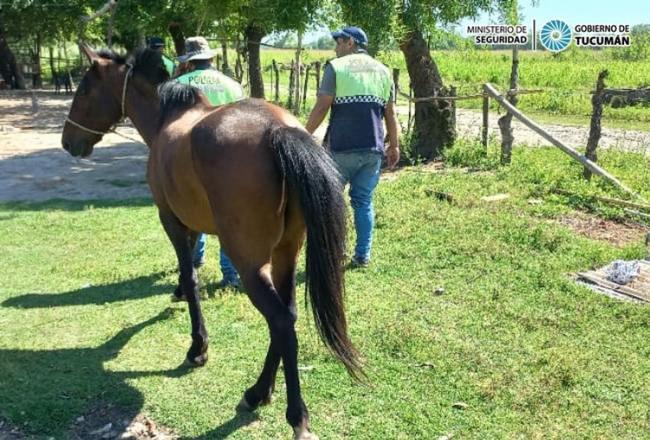 650x440_221127204847_83321