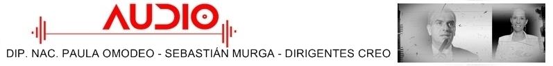 CREO DIRIGENTES - PLACA AUDIO
