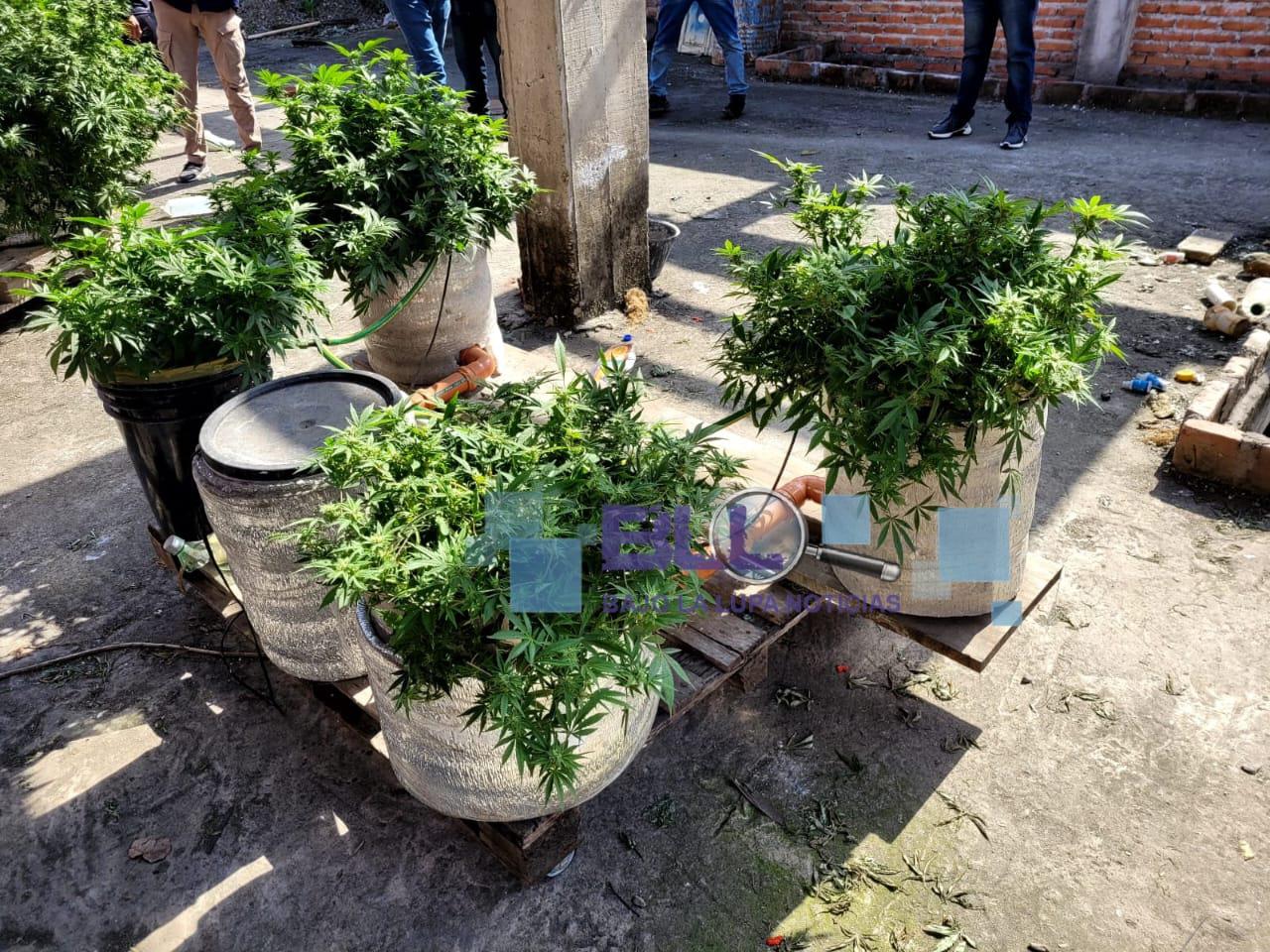 WhatsApp Image 2023-08-04 at 21.49.13