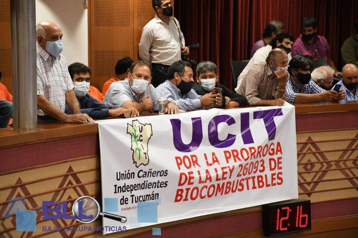 145399745_1916443841846518_6593124183089328980_n