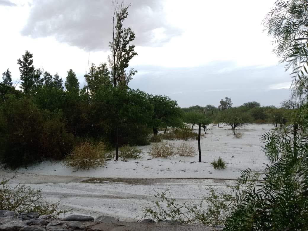 317248784_1796565144039850_222556967225312617_n