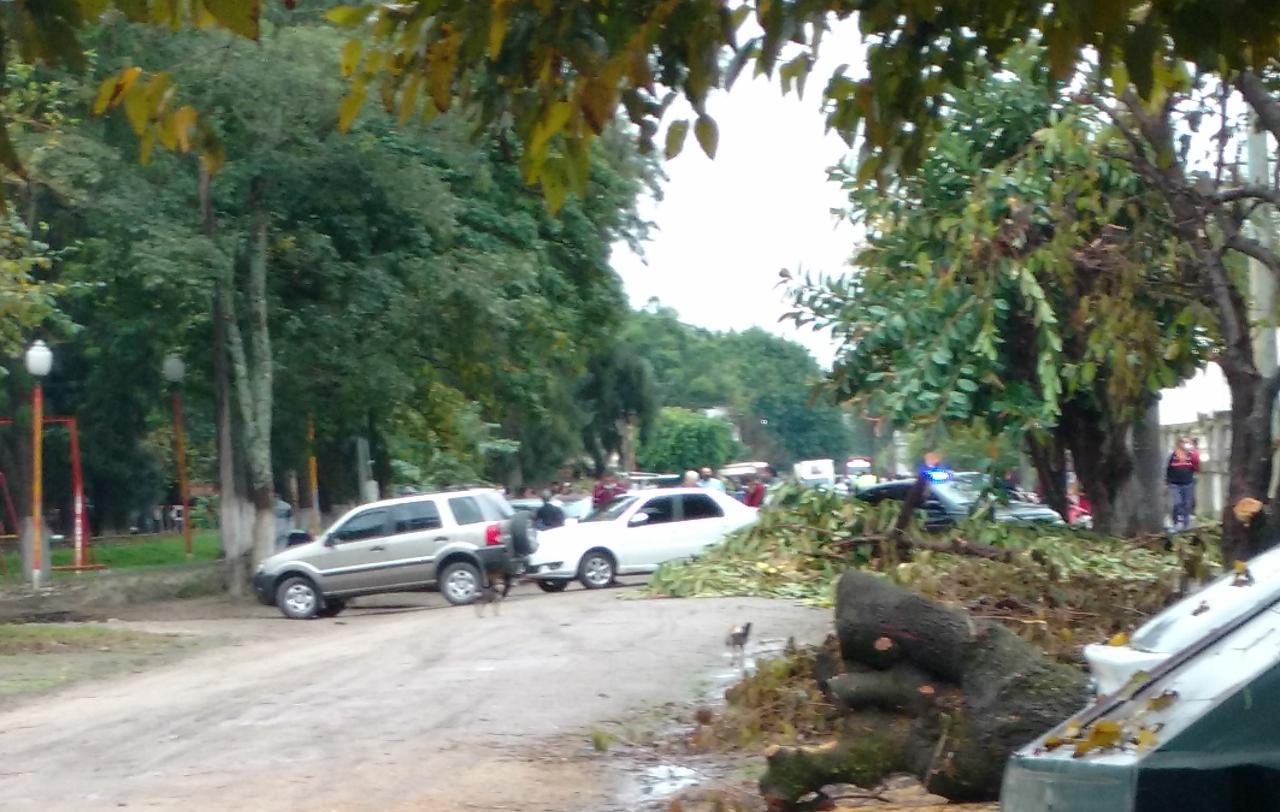 76a8b5e2-427d-486a-86be-b71f48738455