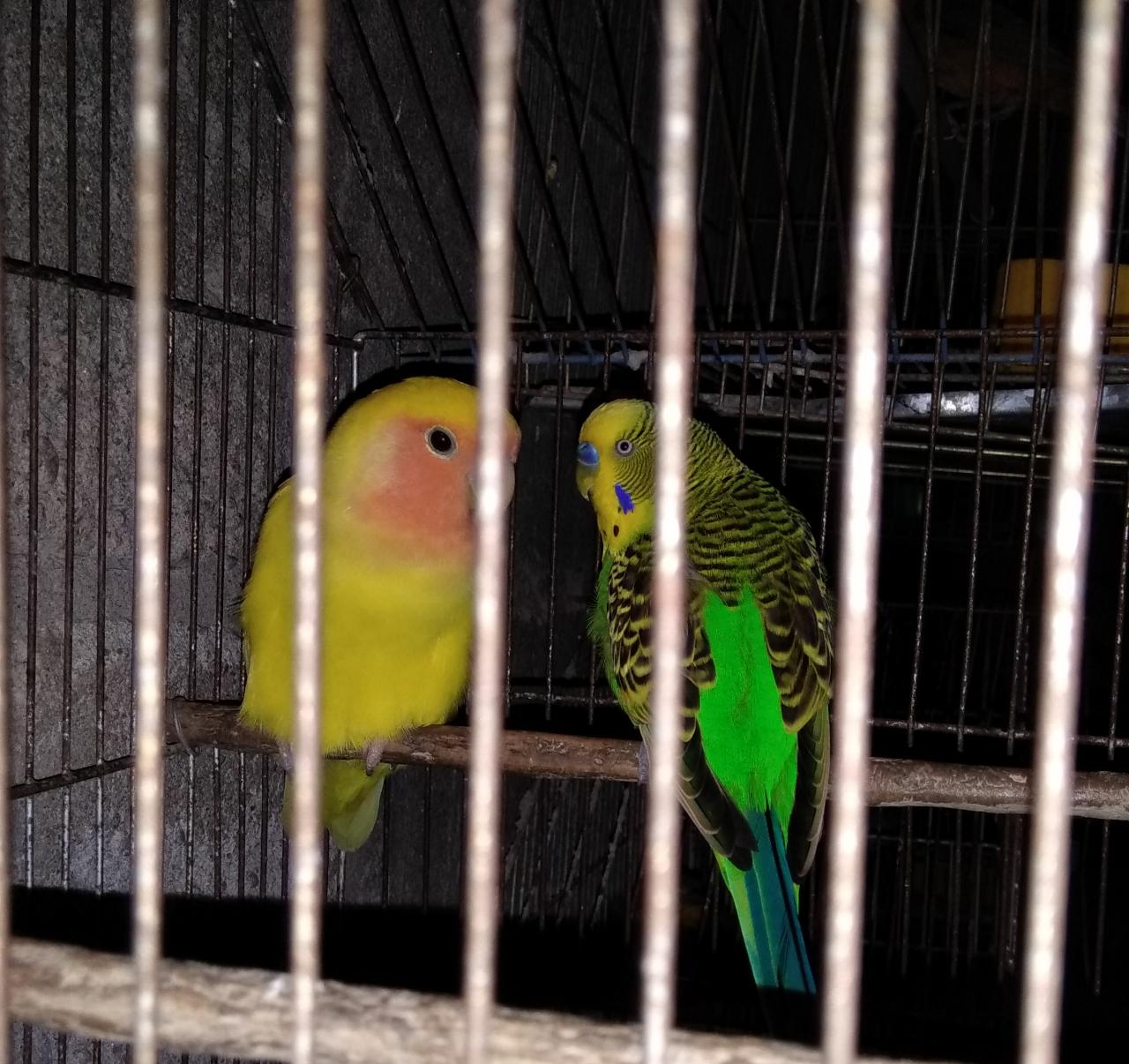 25037098-53f3-4b3f-a924-a9af7bb052f6