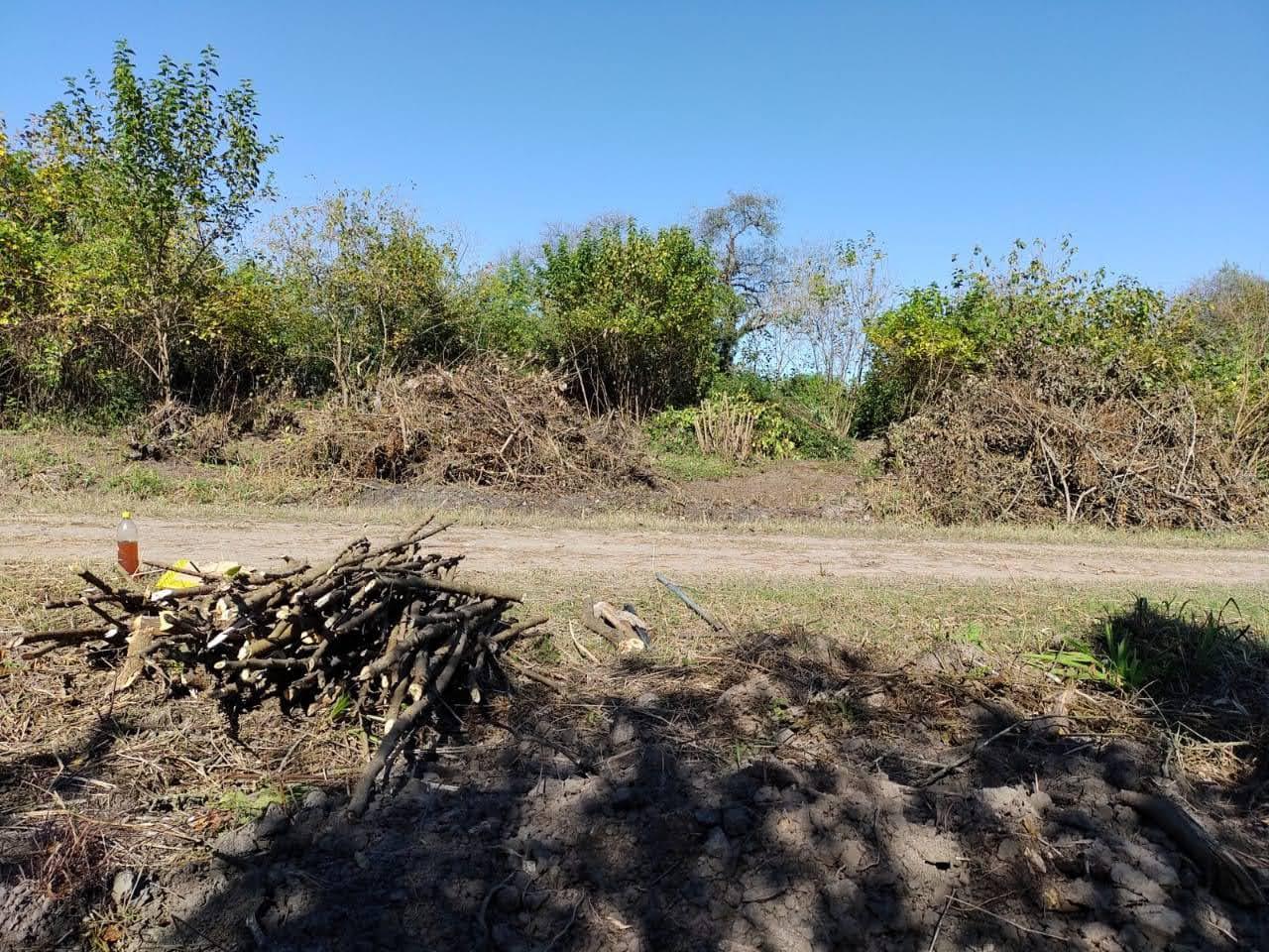 06e10310-466c-40cb-be8c-751055244217