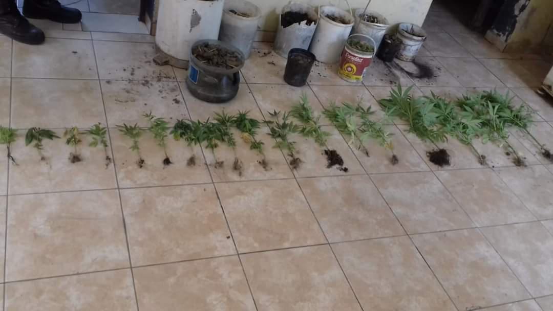 FB_IMG_1600631641415