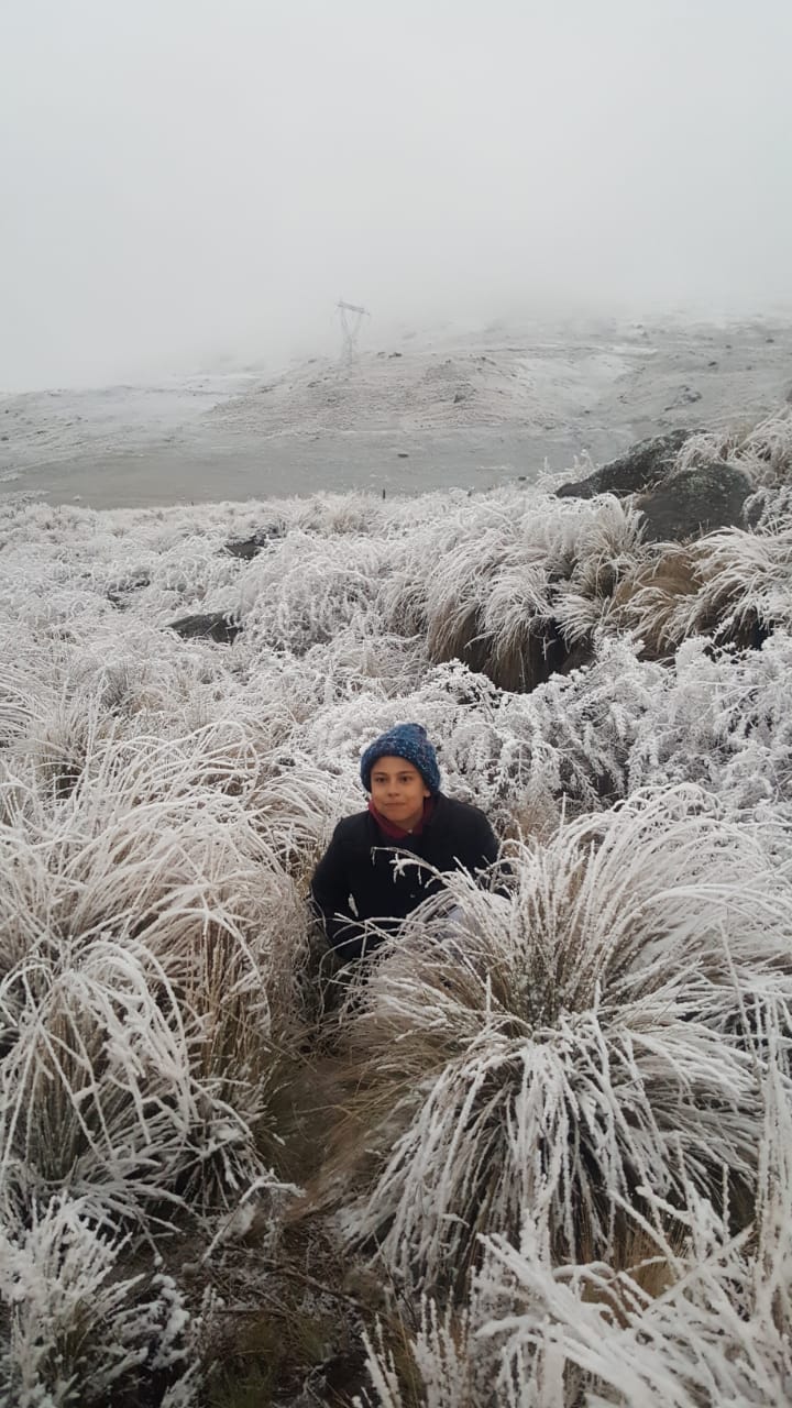 90aa0c6c-3b3e-41b6-8c3d-e7416b997278