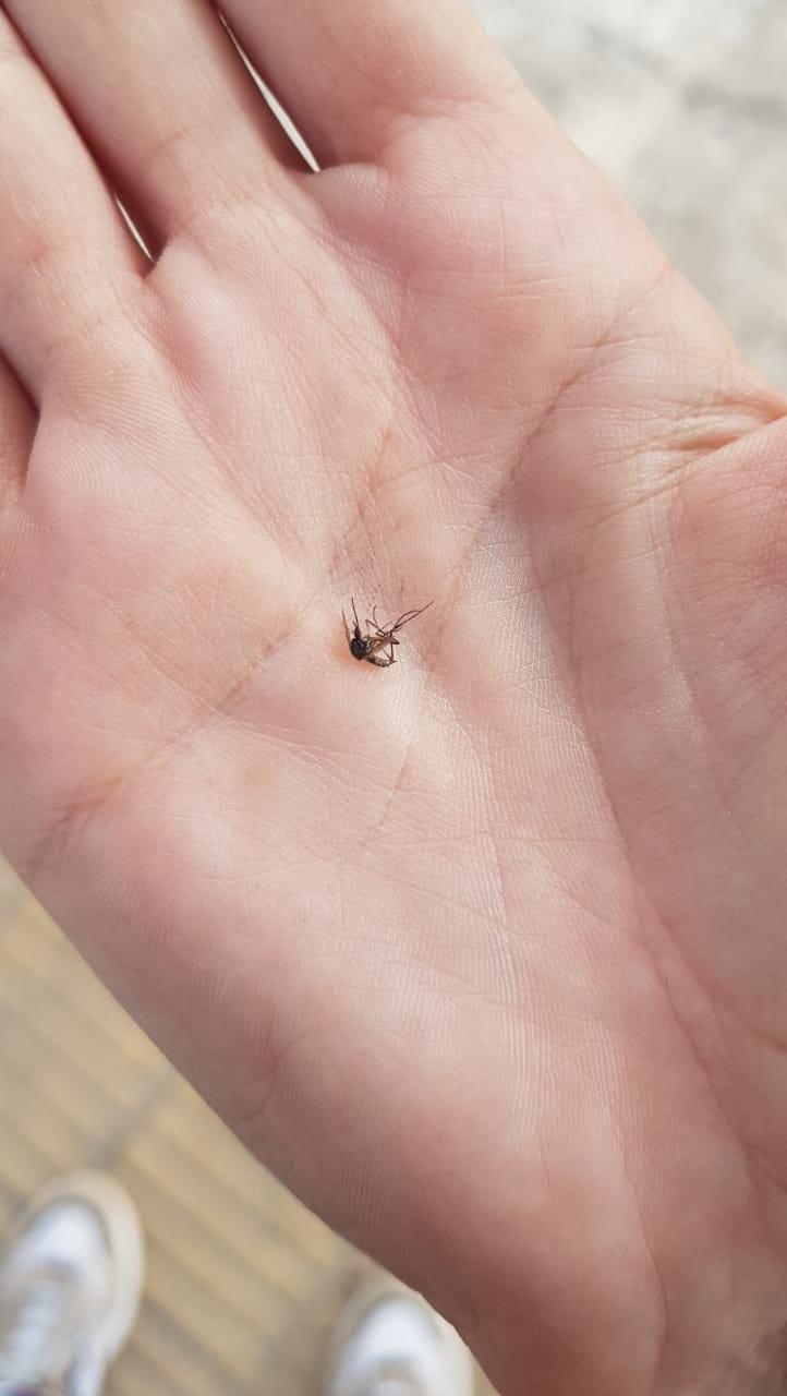 WhatsApp Image 2023-02-07 at 21.33.09