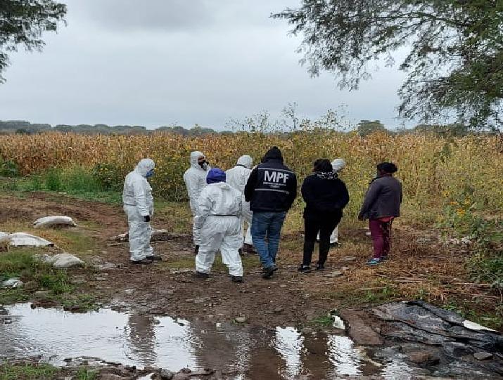 6f8933bd-02ff-4ed5-94cf-ae5c511a6732