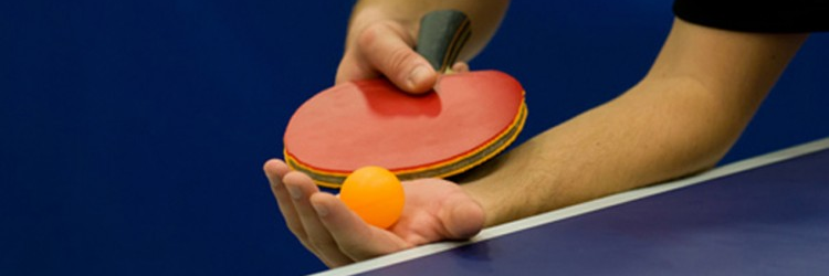 pin-pon550750_550_750