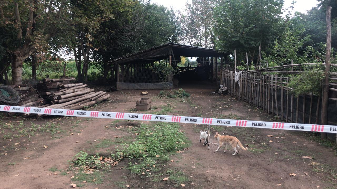 ca81b443-e398-4ce9-abed-e063bcb9757f