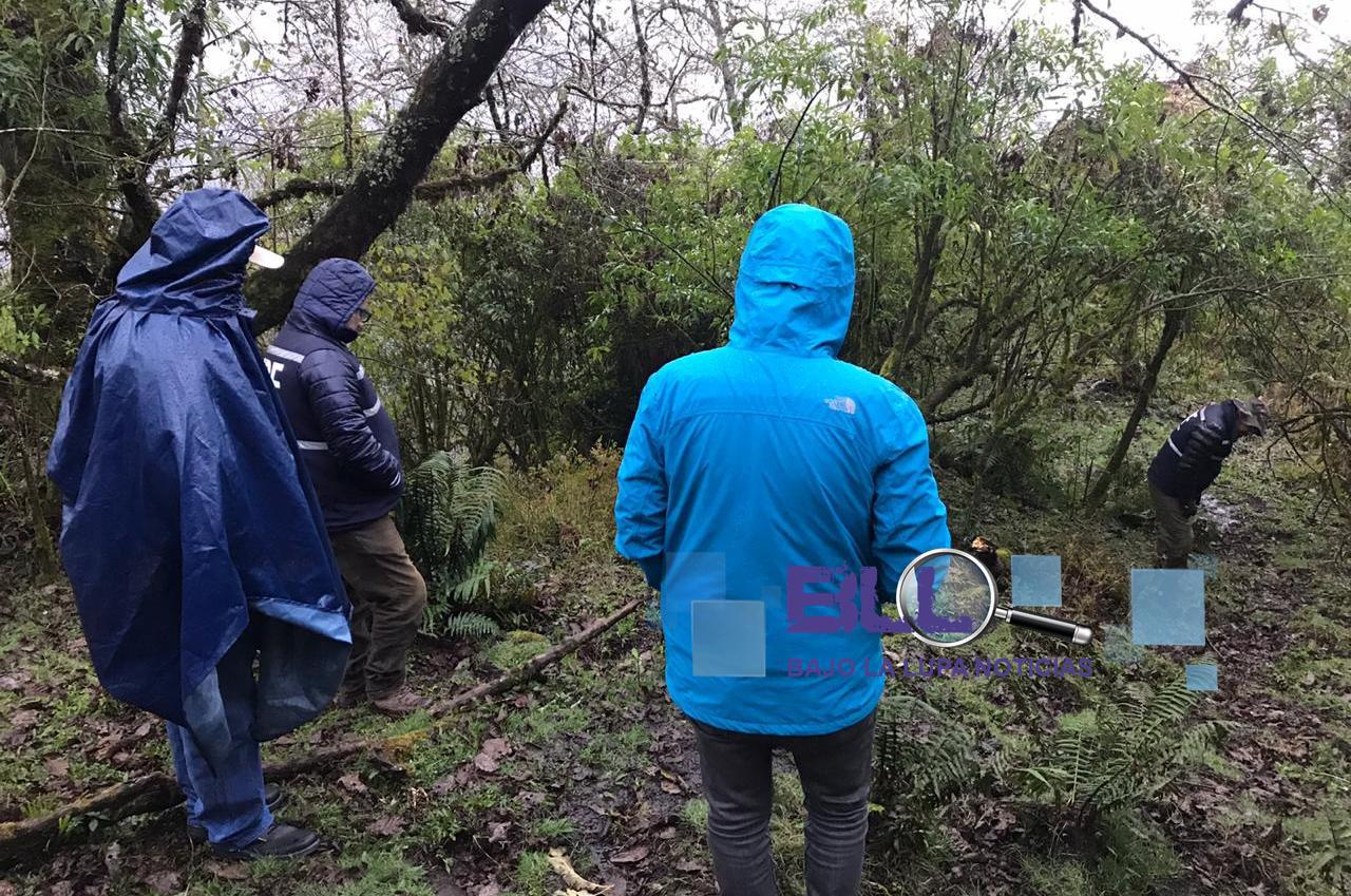 multimedia.normal.a221fa8fb4c912f7.6d756572746520325f6e6f726d616c2e6a7067