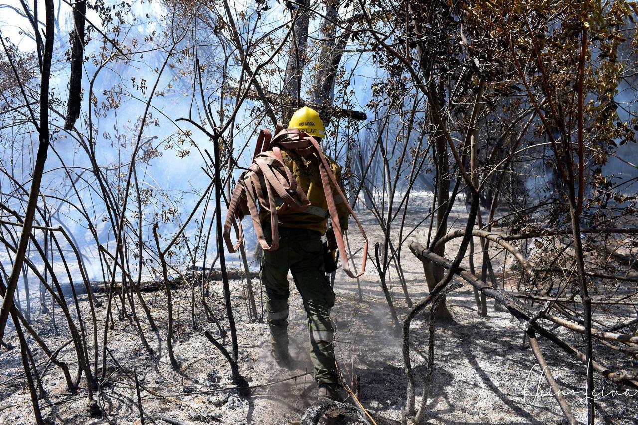 38bd4f8d-18a5-46f1-b04e-905de5e36e47