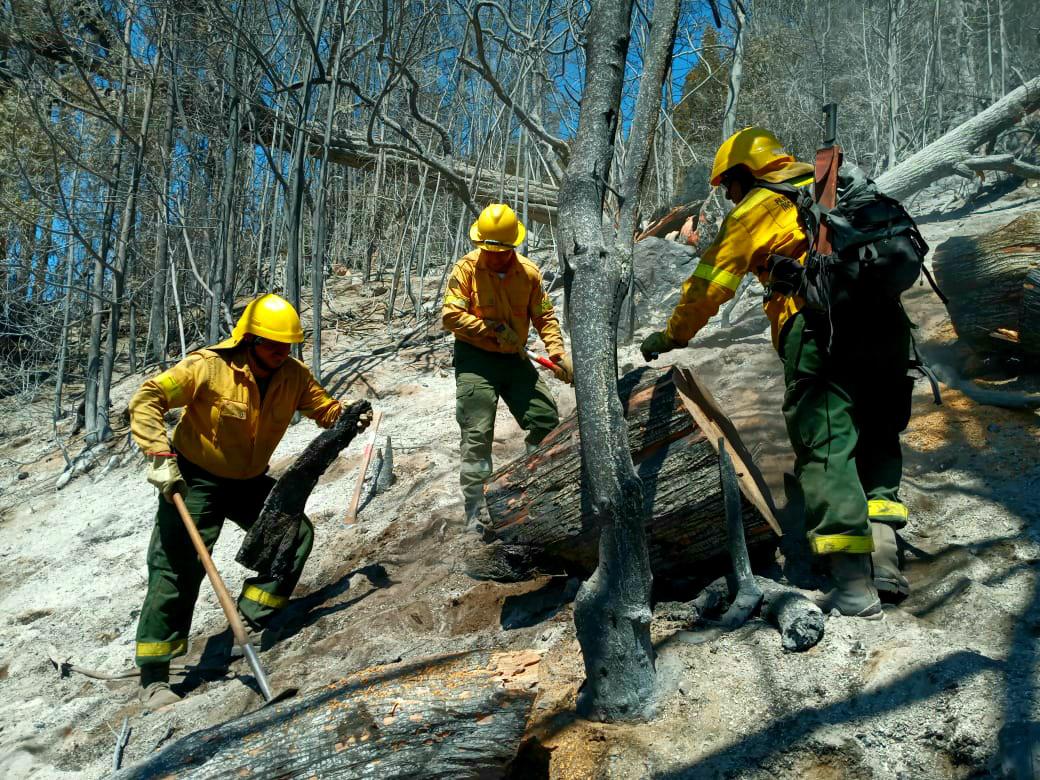 b6ceb086-22f7-40a7-a691-506a661efa0d