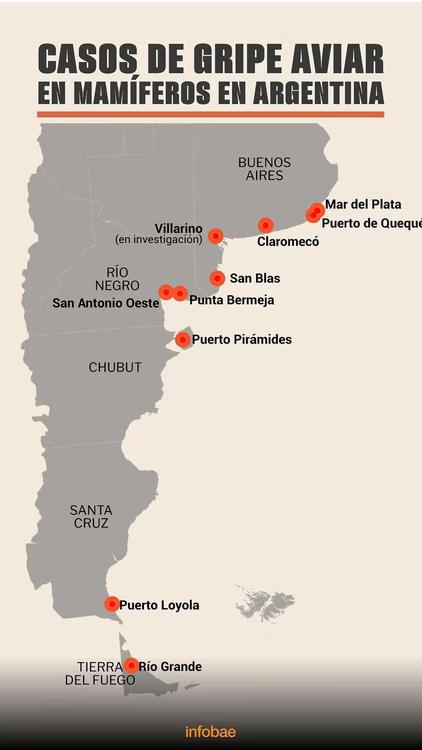 QZPMCSCKL5BPJM4X3CY3JKRDEI