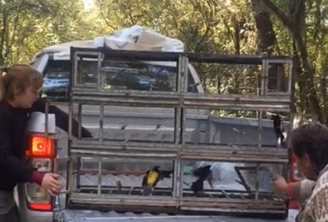 650x440_220830101518_79147