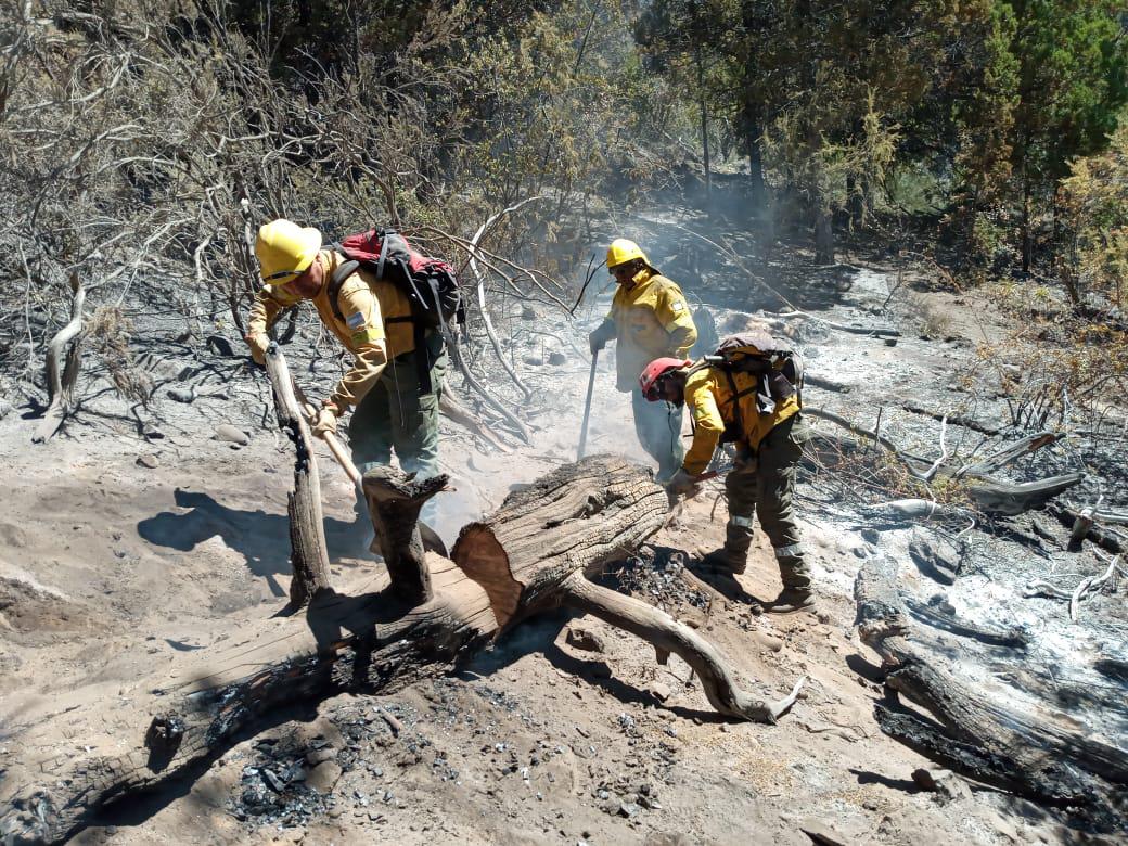 8fd0ee63-d28a-4ef2-a895-36093f87087a