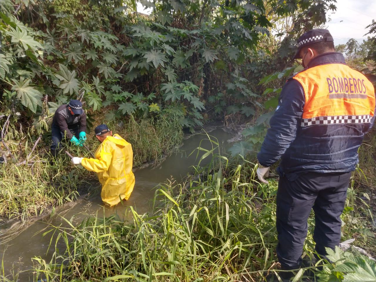 9d7c69d0-222e-4e2a-a7a9-529b9b675367