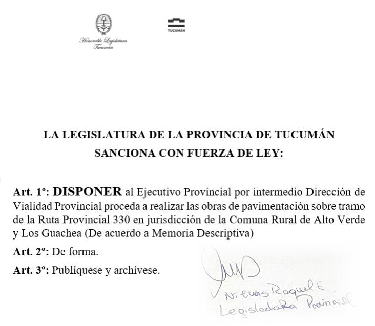 PAVIMENTACION RUTA 330