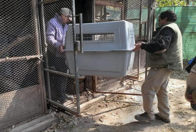 650x440_220824105119_82027