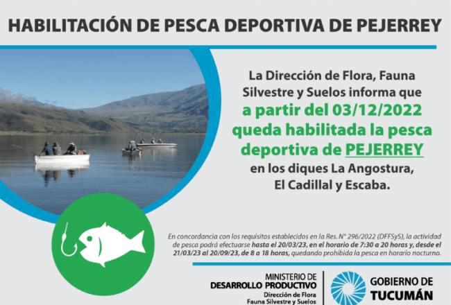 650x440_221128095029_94569