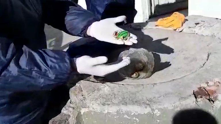 PLMQAPJOOZH2FAARV7AHDJIRVA