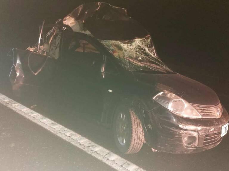 395805362_1091600852216316_7058578081195646500_n-768x576