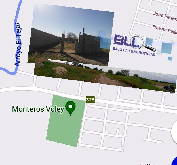 MON