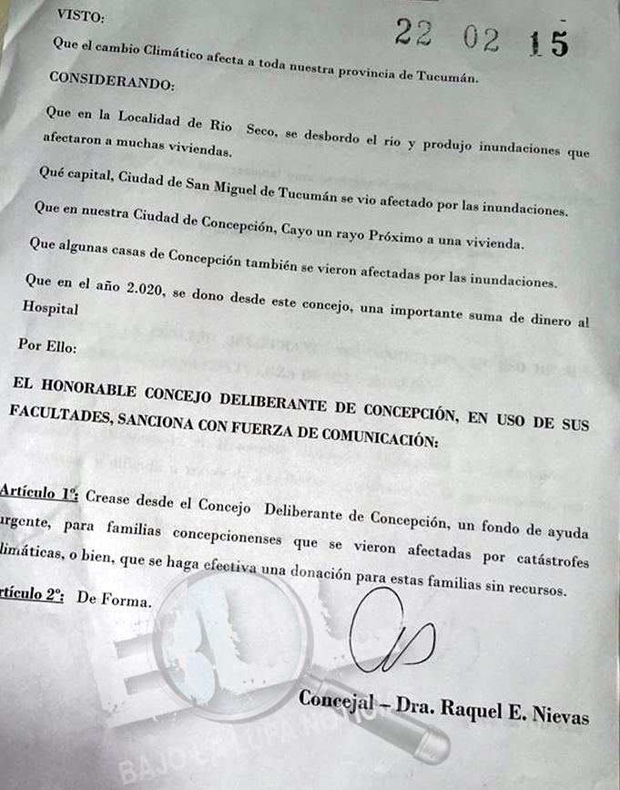 PROYECTO CONCEJAL REN