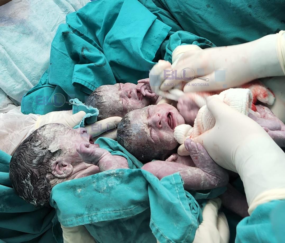 2d4ac6eb-d4ce-4dbc-8a1b-75c4e54b3720