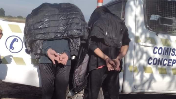 732f3856-9e74-4b11-9c26-834eab91a89a