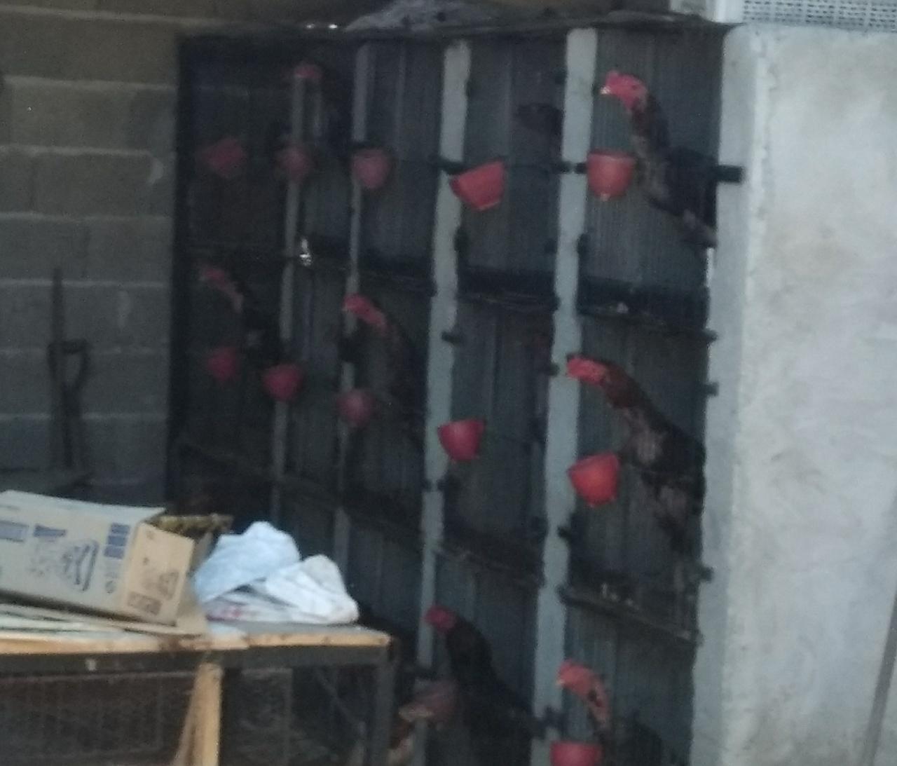 6fd73f85-6ed0-4468-a2fd-5db6bddfa192