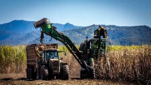 582126846_1408467837955441_7095402547472678221_n