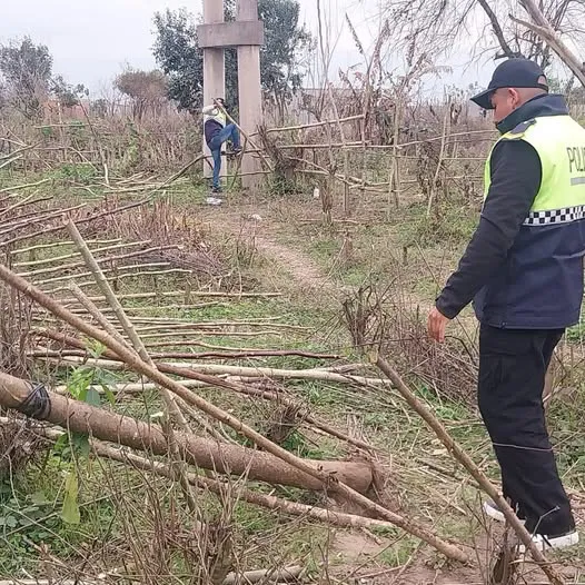 528798575_1314651330670426_2547883796332595037_n