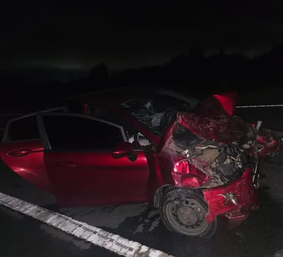 602389183_1439074691561422_317236936649827435_n