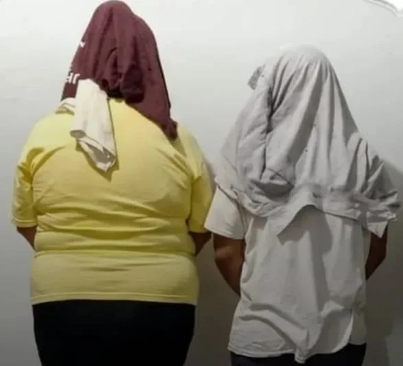 01e88b45-9c06-458c-8b37-a7448b1b6a3d