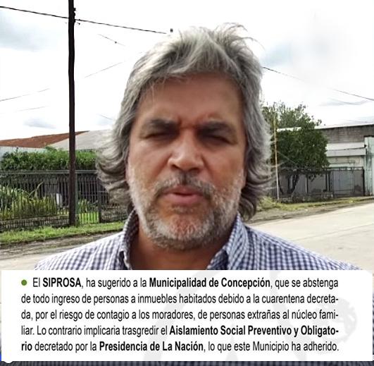 molina final