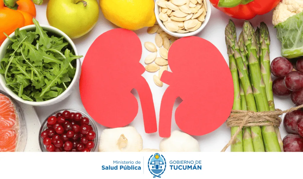 alimetacion-renal-1024x606