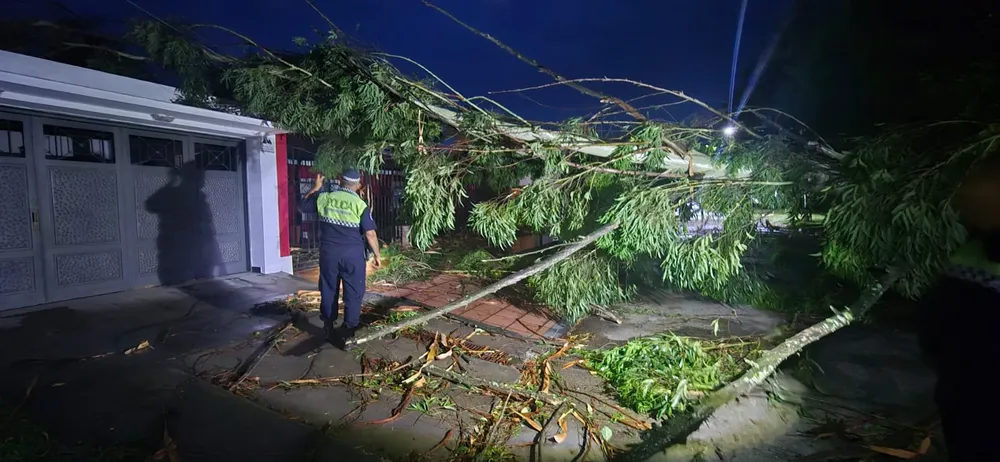 97e07caa-27f3-43ed-9e85-e12a8218c3ee