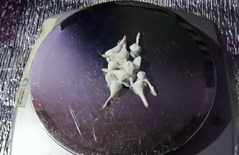 62b94c3d-015a-407b-b419-c558873ce646