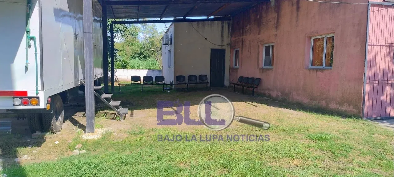 WhatsApp Image 2025-02-15 at 11.58.38