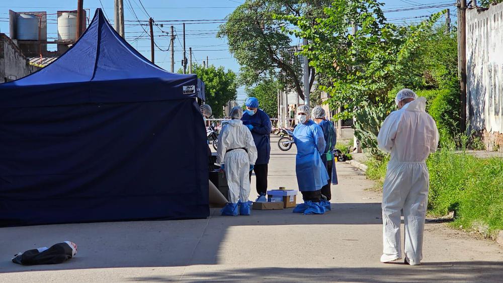 WhatsApp Image 2023-12-08 at 11.35.07