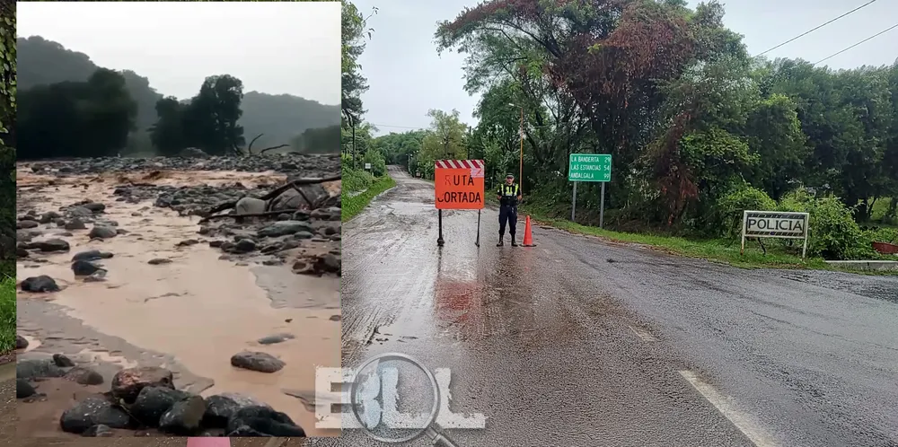 ALPACHIRI - CORTE CALAO