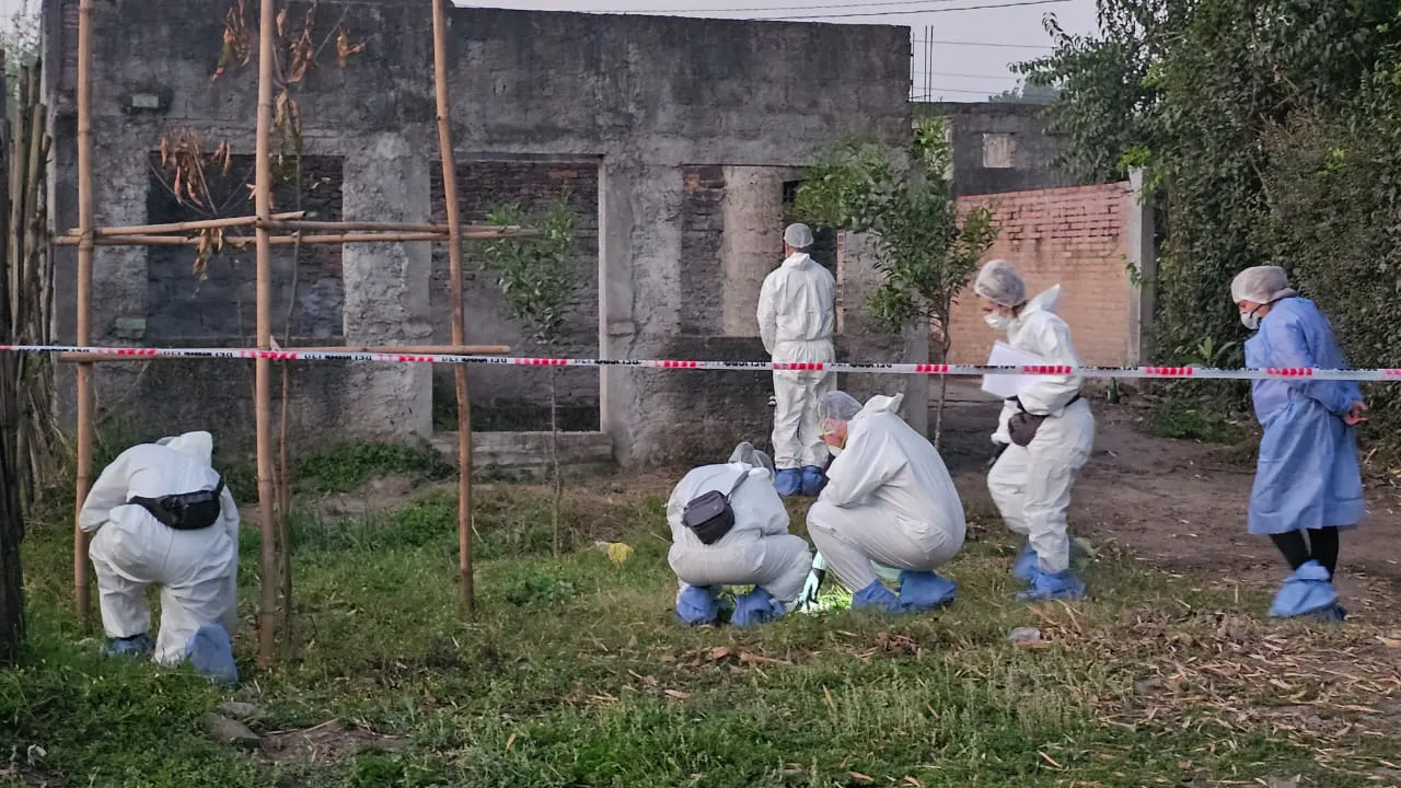 WhatsApp Image 2025-12-01 at 12.10.10